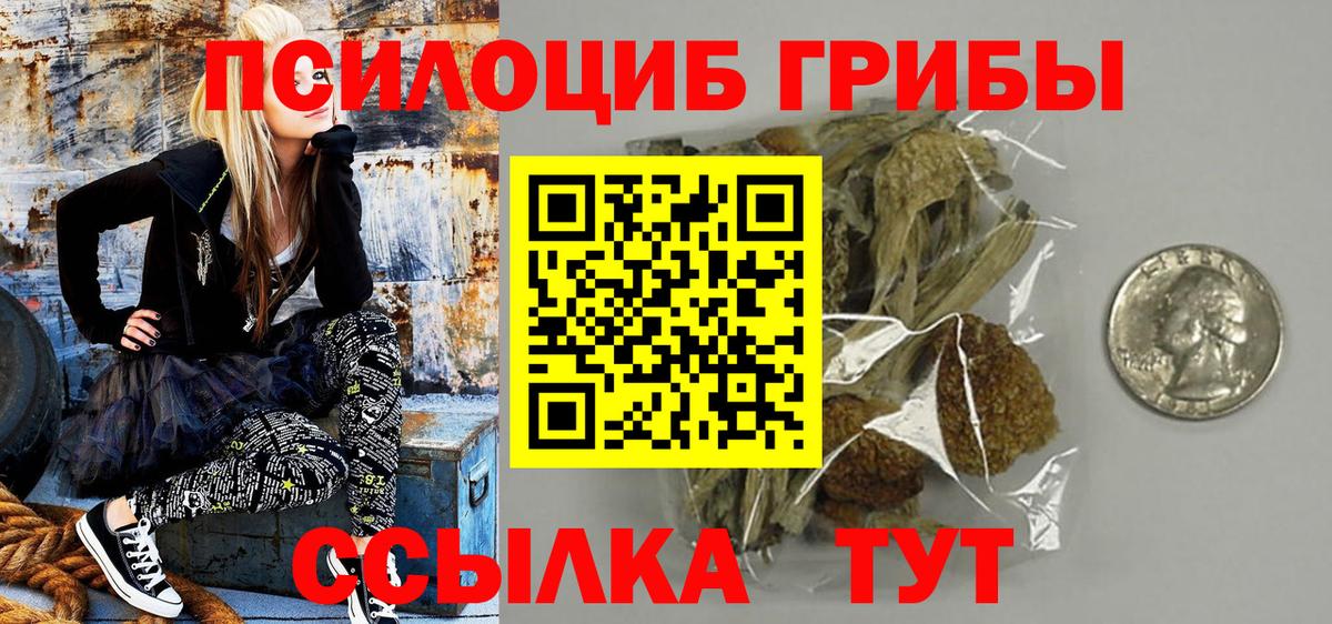 Псилоцибиновые грибы мицелий Курган