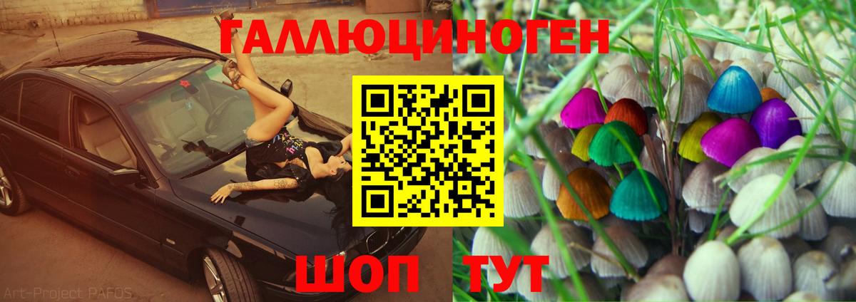 купить наркоту  Псилоцибиновые грибы Magic Shrooms  Курган  Вход с VPN  Галлюциногенные грибы Magic Shrooms 